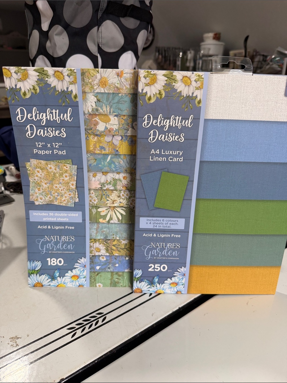 Crafters Companion Nature's Garden Delightful Daisies Paper Pad & Card Pack